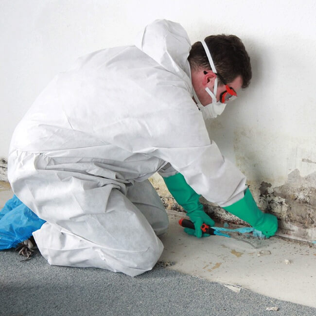 Schadensanierung in Karlsruhe-Ost & Umgebung - Manfred Feuchter Schadensanierung