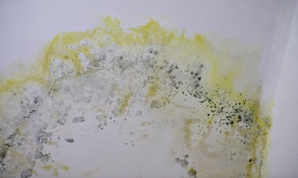 Schadensanierung in Karlsruhe-Ost & Umgebung - Manfred Feuchter Schadensanierungv