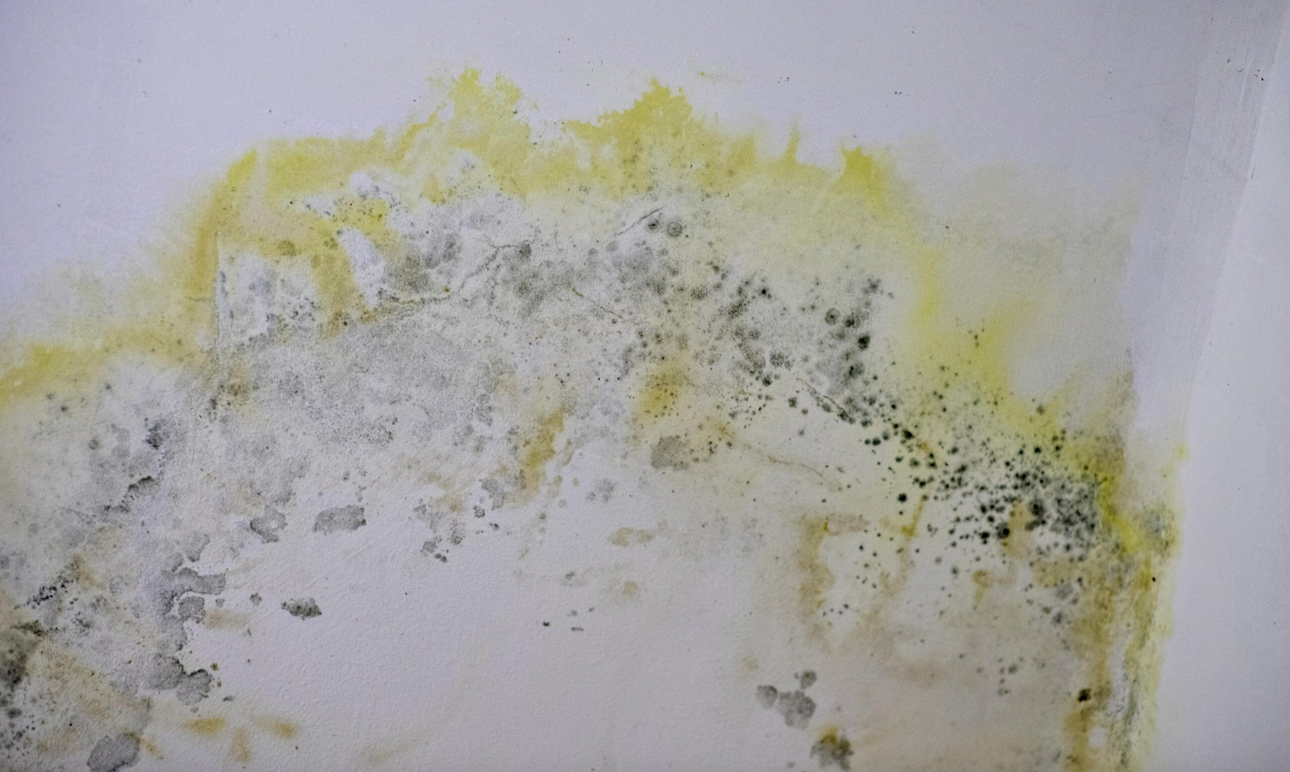 Schadensanierung in Karlsruhe-Ost & Umgebung - Manfred Feuchter Schadensanierungv